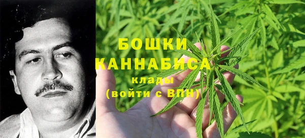 бошки Верея