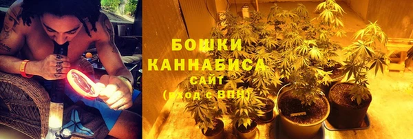 бошки Верея